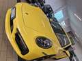 Porsche 911 carrea S tutti tagliandi porsche giallo racing Giallo - thumbnail 6
