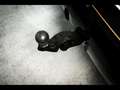 Porsche Cayenne S COUPE E-HYBRIDSPORTDESIGNDISPLAYAHKFULL PPF Noir - thumbnail 16
