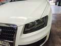 Audi Q5 Q5 2.0TDI quattro 170 DPF - thumbnail 11
