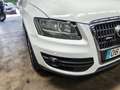 Audi Q5 Q5 2.0TDI quattro 170 DPF - thumbnail 10