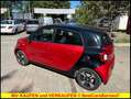 smart forFour 0.9 Turbo Basis passion SHZ*PANO* Rot - thumbnail 3