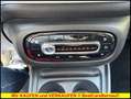 smart forFour 0.9 Turbo Basis passion SHZ*PANO* Rot - thumbnail 15