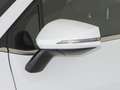 Kia Sportage 1.6 T-GDI HEV DRIVE AUTO 215CV 5P Bianco - thumbnail 5