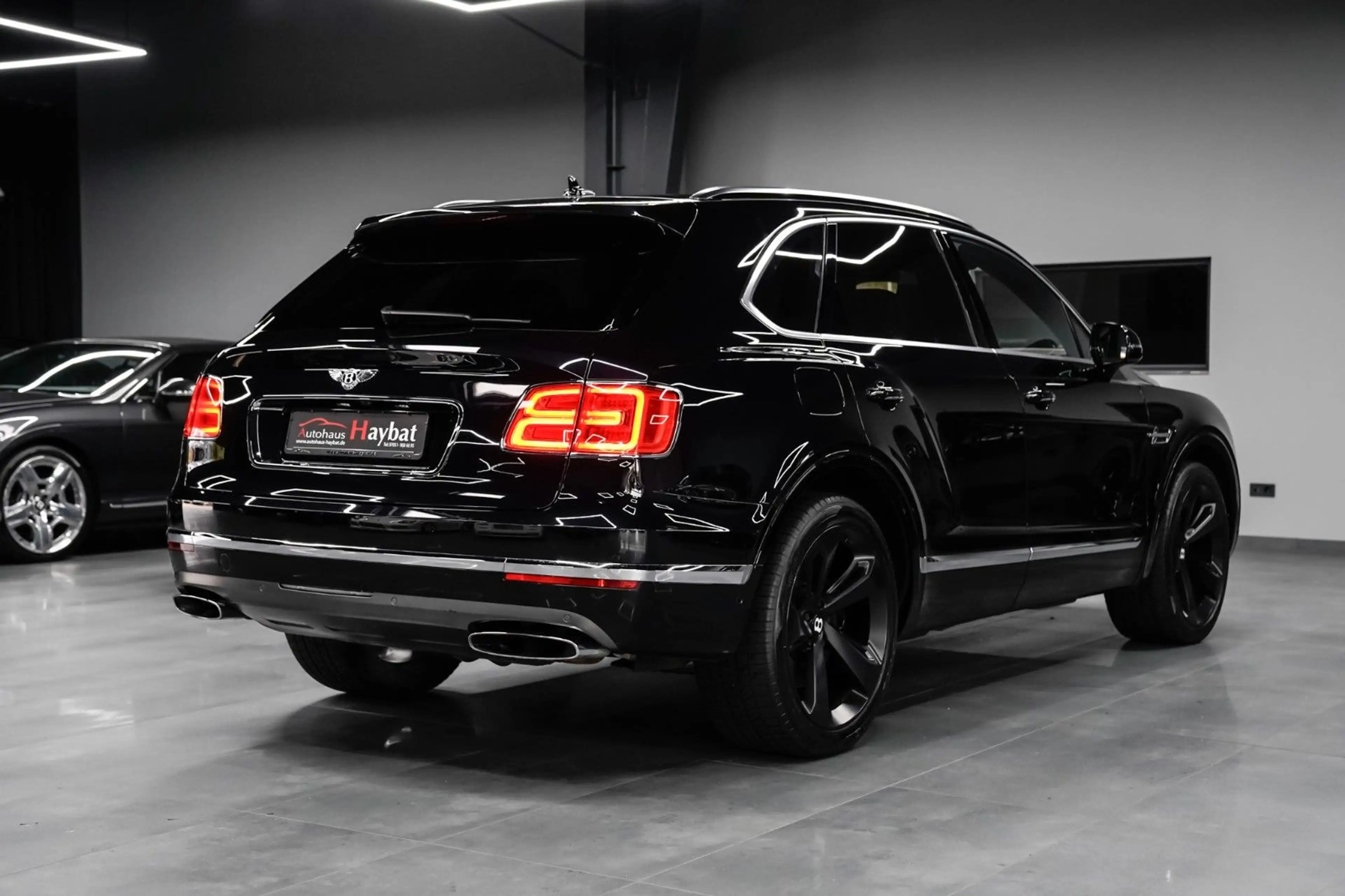 Bentley Bentayga 6.0 W12 Pano-All Terrain-City-Touring — photo 8