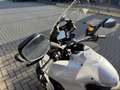 Ducati Multistrada 1200 Desmo gehad # Termignoni # NL motor Weiß - thumbnail 12