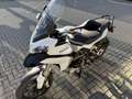 Ducati Multistrada 1200 Desmo gehad # Termignoni # NL motor Weiß - thumbnail 14
