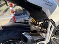 Ducati Multistrada 1200 Desmo gehad # Termignoni # NL motor Weiß - thumbnail 8