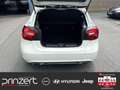 Mercedes-Benz A 160 1.6 Urban Score Navi*LED*Sitzheizung*8-Fach Weiß - thumbnail 14