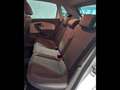 Volkswagen Polo 1.4 tdi Fresh BM 90cv 5p Bianco - thumbnail 15