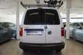 Volkswagen Caddy  Kasten 4MOTION AHV/Klima/PDC Weiß - thumbnail 6