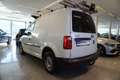 Volkswagen Caddy  Kasten 4MOTION AHV/Klima/PDC Weiß - thumbnail 4