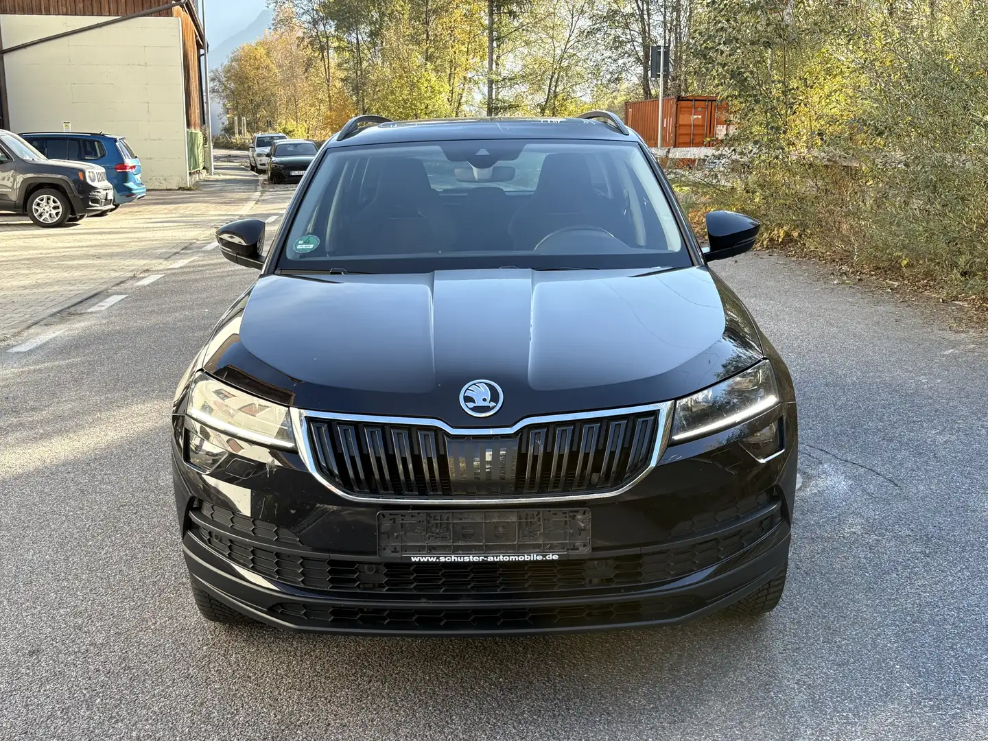 Skoda Karoq 2.0 TDI DSG 4x4 LED Panoramadach AHK Nero - 2