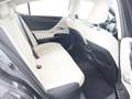 Lexus ES 300 300h Business Line | Sunroof | Lederen Bekleding | Grau - thumbnail 31