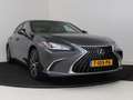 Lexus ES 300 300h Business Line | Sunroof | Lederen Bekleding | Gri - thumbnail 13