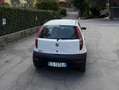 Fiat Punto 5p 1.2 bConnect Bianco - thumbnail 4