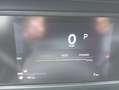 Citroen C4 Hybrid 145 e-DCS6 Max Leder/ Automatik Weiß - thumbnail 17