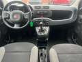 Fiat Panda III 2021 1.0 firefly hybrid s Weiß - thumbnail 5