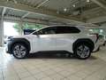 Subaru Solterra PLATINUM PLUS AWD Navi Blanc - thumbnail 3