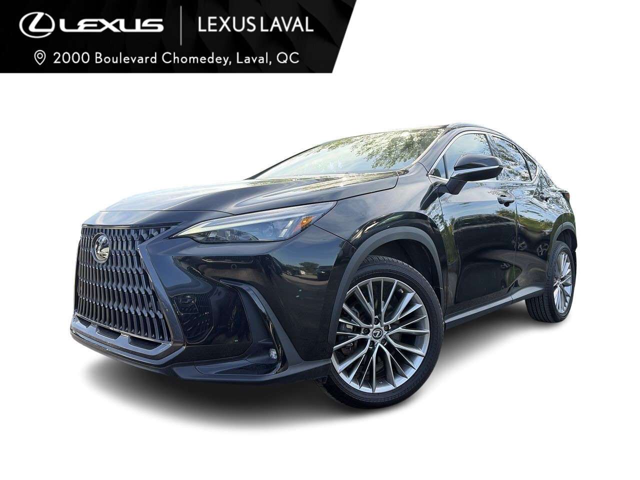 2022 Lexus NX NX350 Ultra premium / Camera / Navi / Toit ouvrant