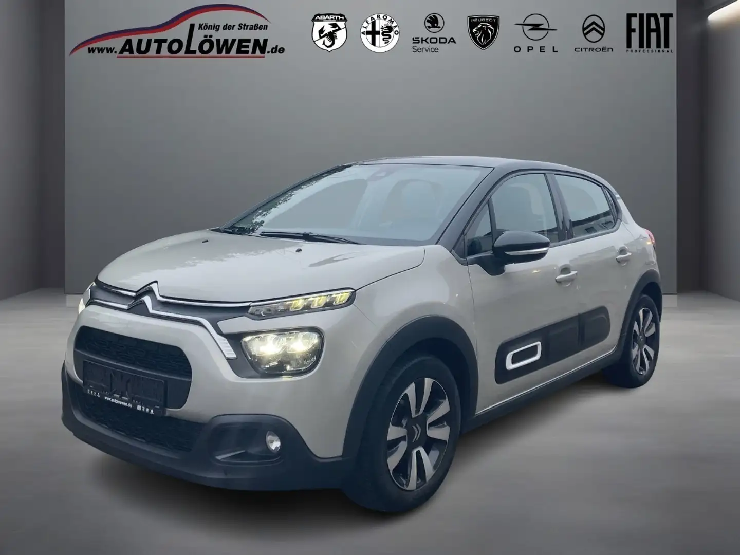 Citroen C3 1.2 PureTech 82 Shine Pack Stop&Start - 1