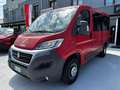 Fiat Ducato Fiat Ducato 9Posti Panorama Rosso - thumbnail 1