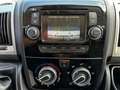 Fiat Ducato Fiat Ducato 9Posti Panorama Rosso - thumbnail 14
