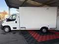 Peugeot Boxer PLANCHER CABINE PC 435 L3 BLUEHDI 165 SetS PRO SR Blanc - thumbnail 5