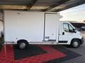 Peugeot Boxer PLANCHER CABINE PC 435 L3 BLUEHDI 165 SetS PRO SR Blanc - thumbnail 4