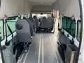 Ford Transit Tourneo Bus  ,,Rollstuhl & Behindertengerecht“ Blanc - thumbnail 12