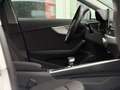 Audi A4 Avant 35 TFSI*LED*Temp*Pdc*Klima*Bt*Automatik Weiß - thumbnail 19