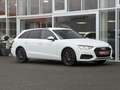 Audi A4 Avant 35 TFSI*LED*Temp*Pdc*Klima*Bt*Automatik Weiß - thumbnail 3