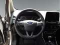 Ford EcoSport Active Zilver - thumbnail 13
