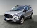 Ford EcoSport Active Zilver - thumbnail 1