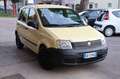 Fiat Panda 1.1 Benzina Ideale per NEOPATENTATI Mp3 USB AUX-IN Gelb - thumbnail 13