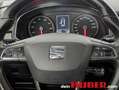SEAT Ibiza 1,0 ECO TSI FR Blau - thumbnail 13