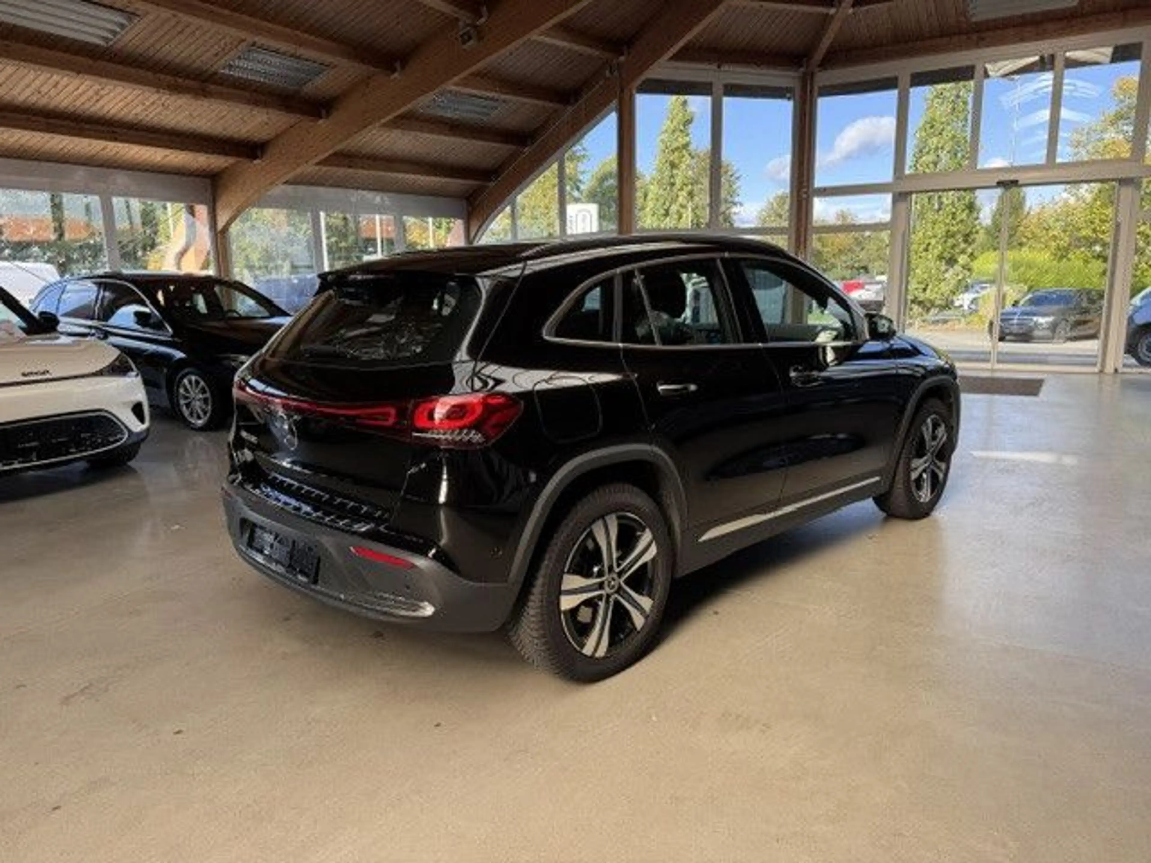 Mercedes-Benz EQA 250 Electric Art+Advanced Plus+Panorama — photo 5