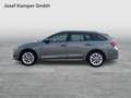 Skoda Octavia Selection TDI DSG Grau - thumbnail 2