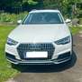 Audi A4 allroad basis Weiß - thumbnail 1