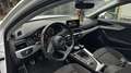 Audi A4 allroad basis Weiß - thumbnail 4