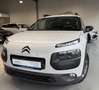Citroen C4 Cactus Shine Automatik*Kamera*Pano*Navi Blanc - thumbnail 2