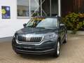 Skoda Kodiaq 2.0 TDI 4x4 DSG Style Grau - thumbnail 1
