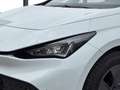 CUPRA Born 58/62 150kW/204PS Weiß - thumbnail 7