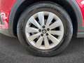 SEAT Arona 2017 1.0 ecotsi Xcellence 95cv my18 Rosso - thumbnail 6