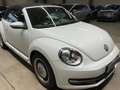 Volkswagen Maggiolino Cabrio 2.0 TDI Cup BlueMotion Technology Bílá - thumbnail 2