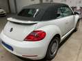 Volkswagen Maggiolino Cabrio 2.0 TDI Cup BlueMotion Technology Bílá - thumbnail 3