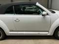 Volkswagen Maggiolino Cabrio 2.0 TDI Cup BlueMotion Technology Bílá - thumbnail 5