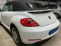 Volkswagen Maggiolino Cabrio 2.0 TDI Cup BlueMotion Technology Bílá - thumbnail 4