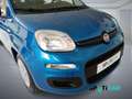 Fiat Panda 1.0 FireFly S&S Hybrid PANDINA ADAS Blu/Azzurro - thumbnail 4