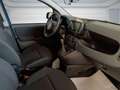 Fiat Panda 1.0 FireFly S&S Hybrid PANDINA ADAS Blu/Azzurro - thumbnail 12