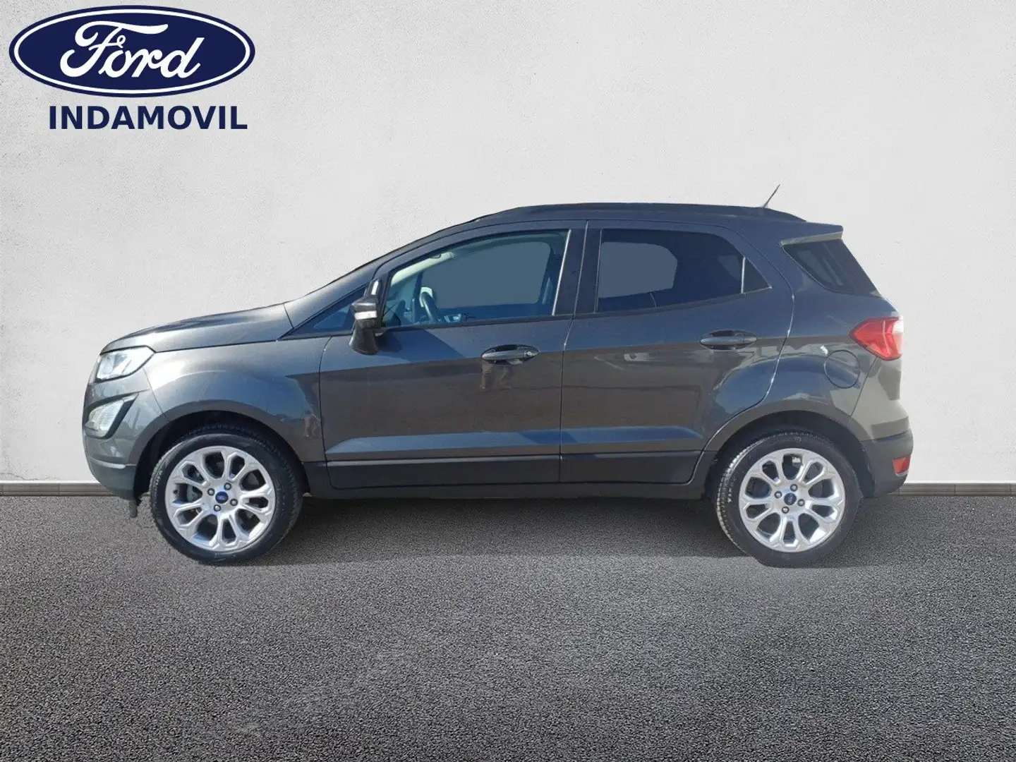 Ford EcoSport 1.0 EcoBoost Trend 100 Gris - 2